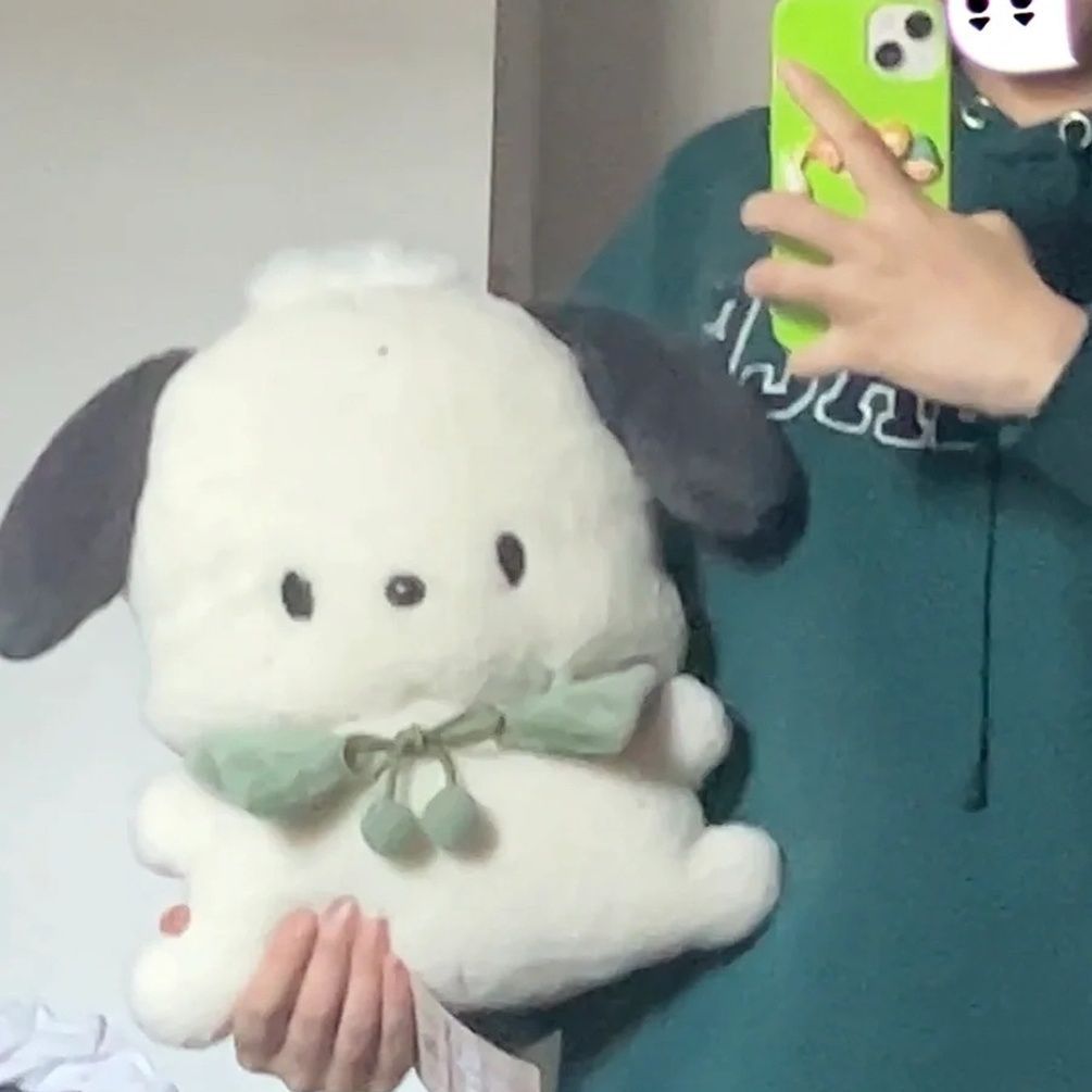 Sanrio Kawaii Pochacco Plush Doll Pillow Cartoon Toys Sofa Home Decoration Anime Plushies Girl Heart Surprise 2 - Pochacco Plush